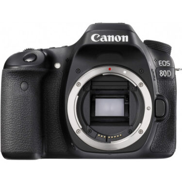 canon d80 camera body